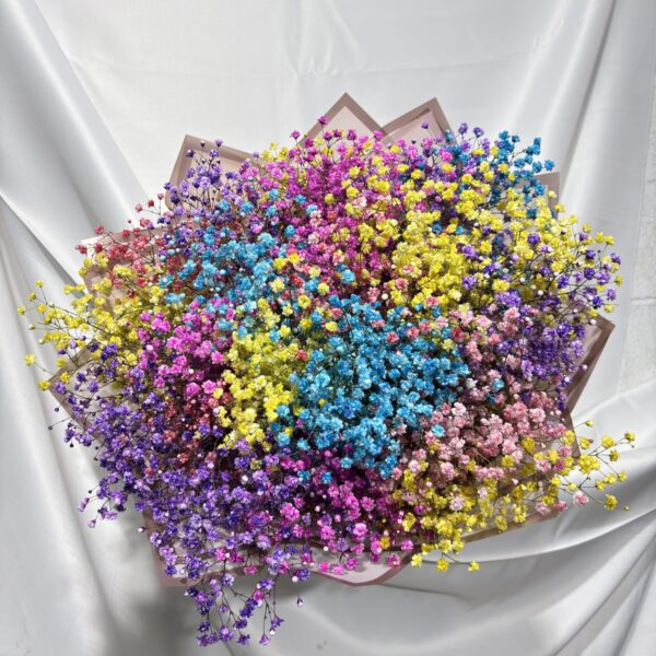 ענן של צבעים