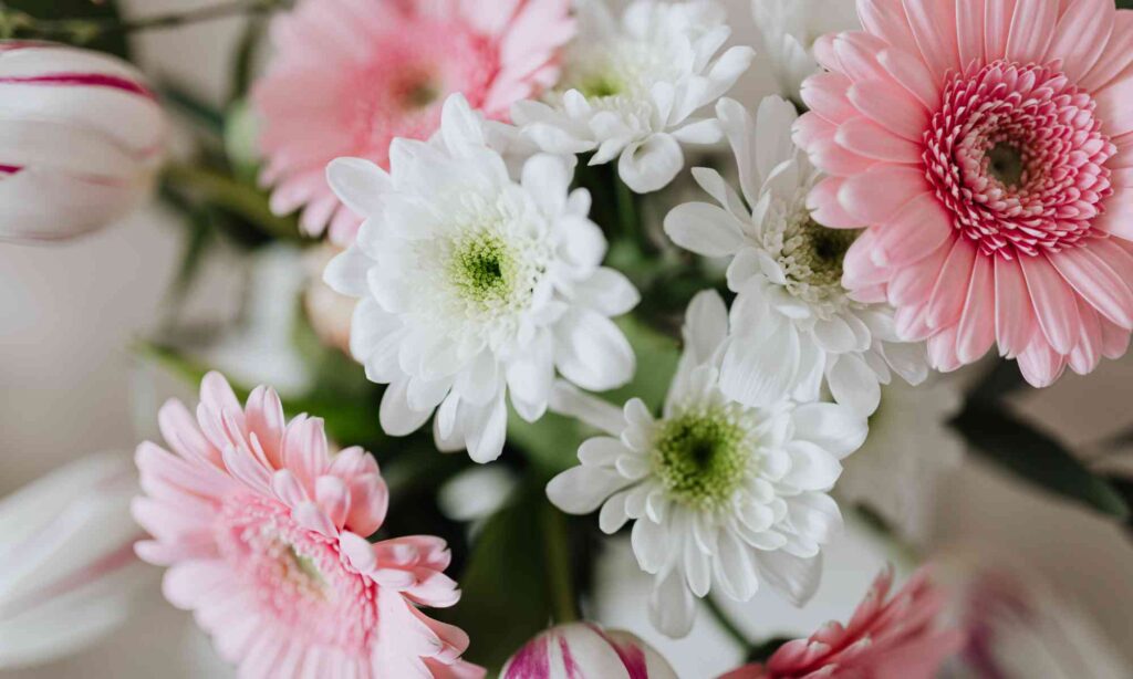 פרחים יוקרתיים